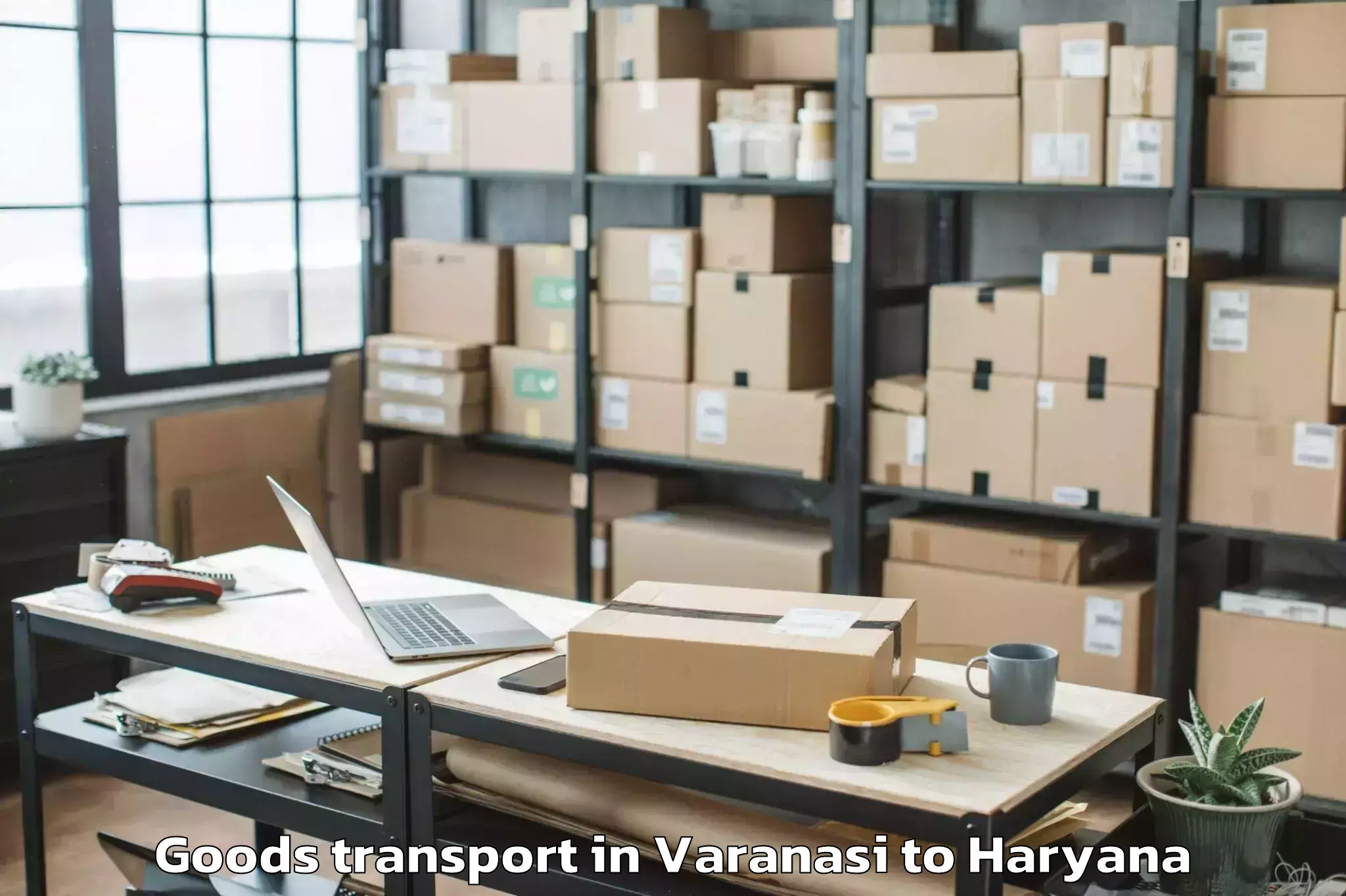 Discover Varanasi to Mvn University Palwal Goods Transport